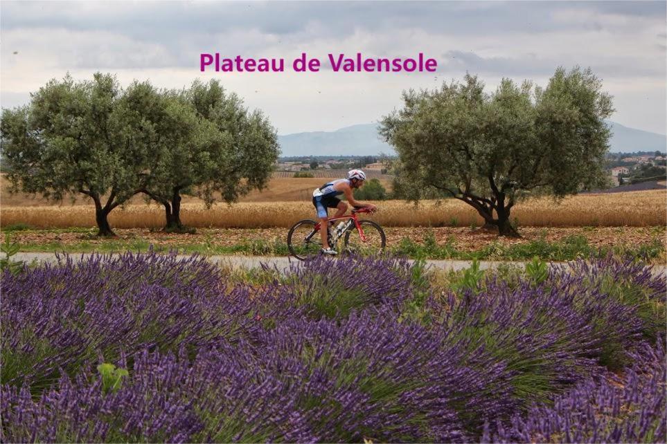 Spacieux T3 Avec Piscine Digne-les-Bains ภายนอก รูปภาพ